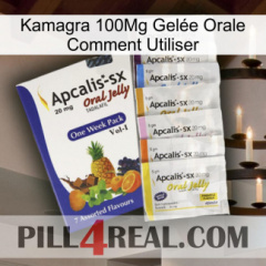 Kamagra 100Mg Gelée Orale Comment Utiliser 11